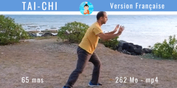 Cours de Tai Chi en ligne à télécharger – Style Yang complet (Version Française)