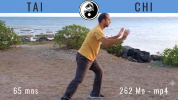 Tai Chi Forme 108