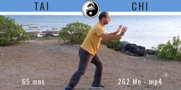 Tai Chi Forme 108