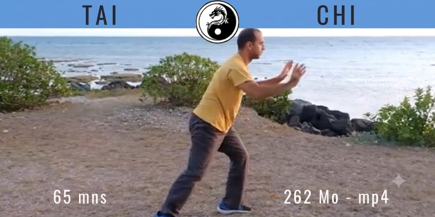 Tai Chi Forme 108