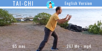 Tai Chi Online Course – Yang Style in 108 Movements (English Version)