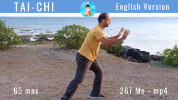 2. Tai Chi en ligne mp4 - Version Anglaise