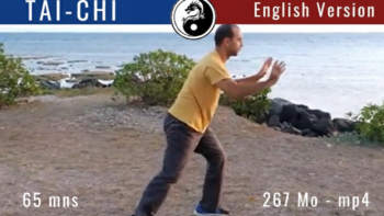 Online Yang Style Tai Chi Course 108 Form
