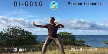 Cours de Qi Gong en ligne à télécharger – Ba Duan Jin complet (Version Française)