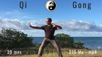 Qi Gong Ba Duan Jin