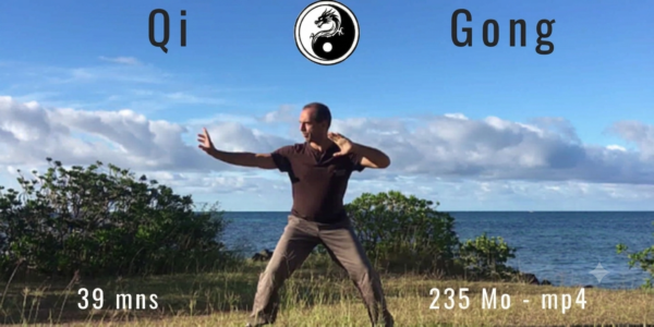 Qi Gong Ba Duan Jin