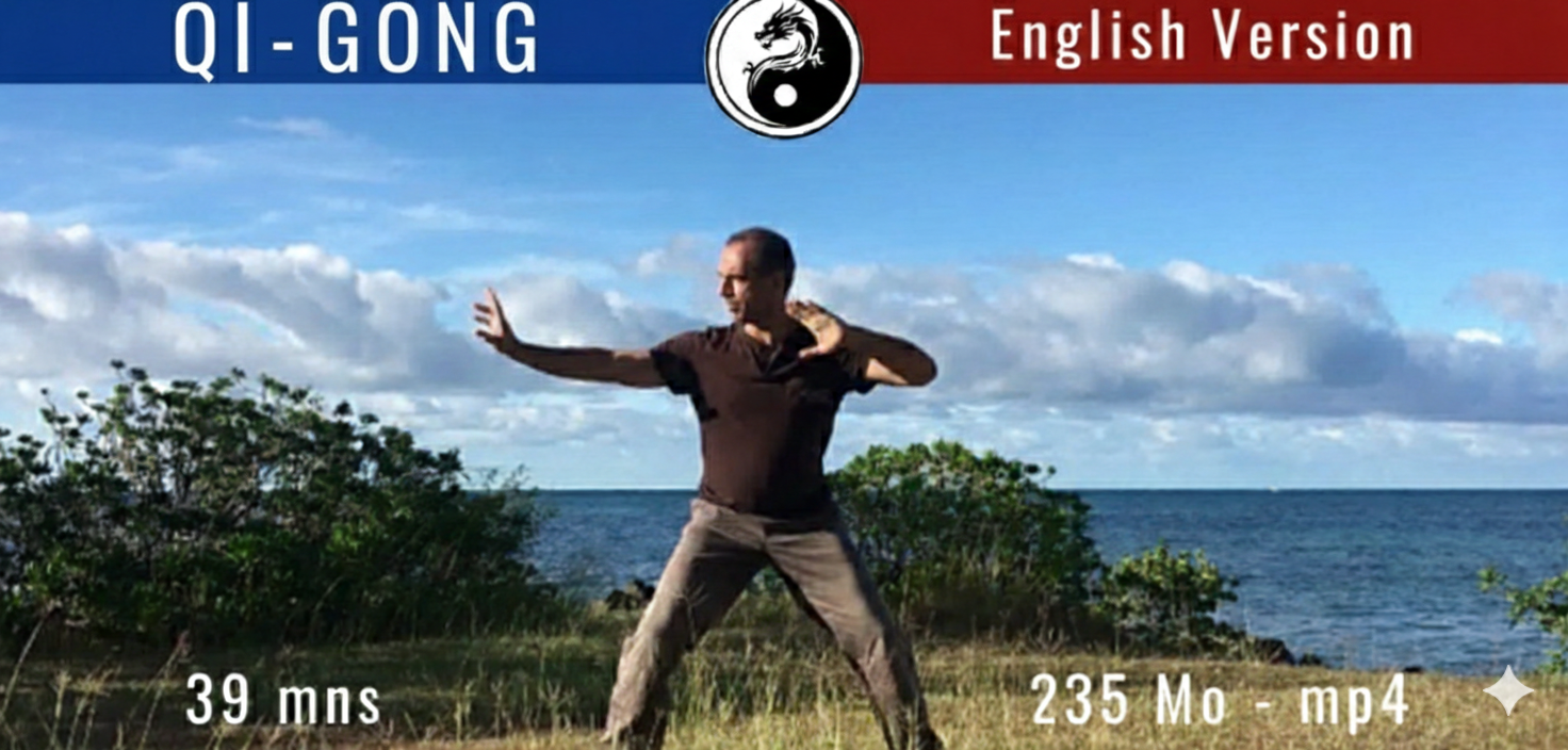Online Qi Gong Course Ba Duan Jin 8 Pieces of Brocade